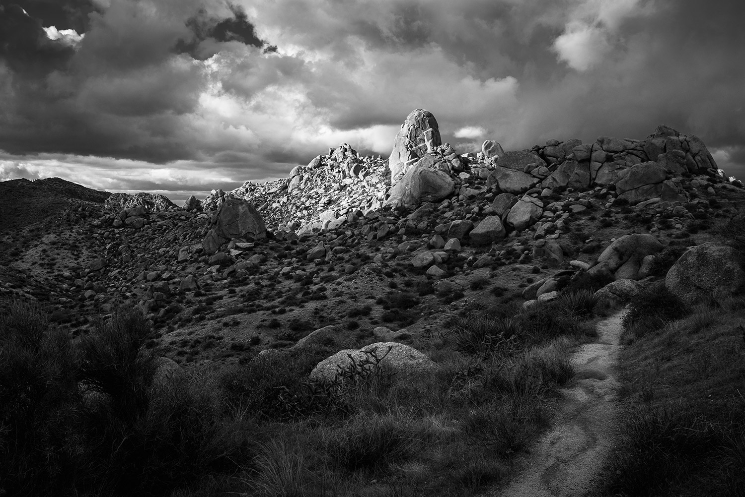 Photograph by Eric Mischke