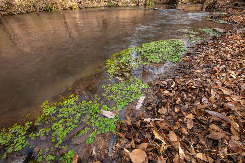 Photograph by Bill Hatcher