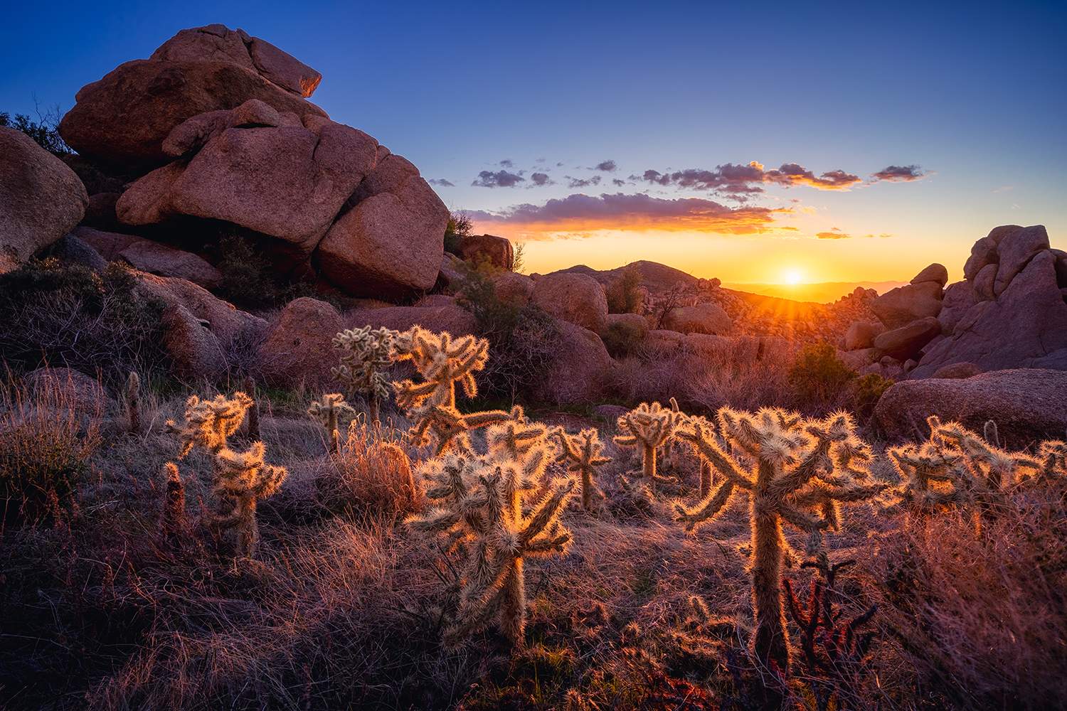 Photograph by Eric Mischke