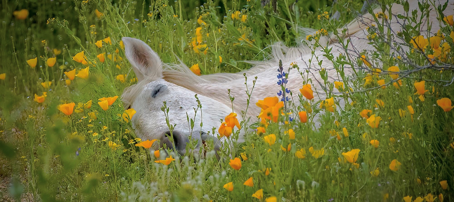 Photograph by Spence Fairbanks