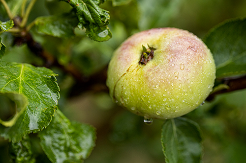 Photograph by John Burcham