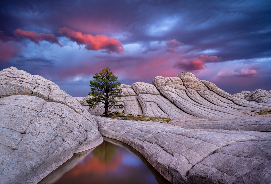 Photograph by Jessica J Fridrich
