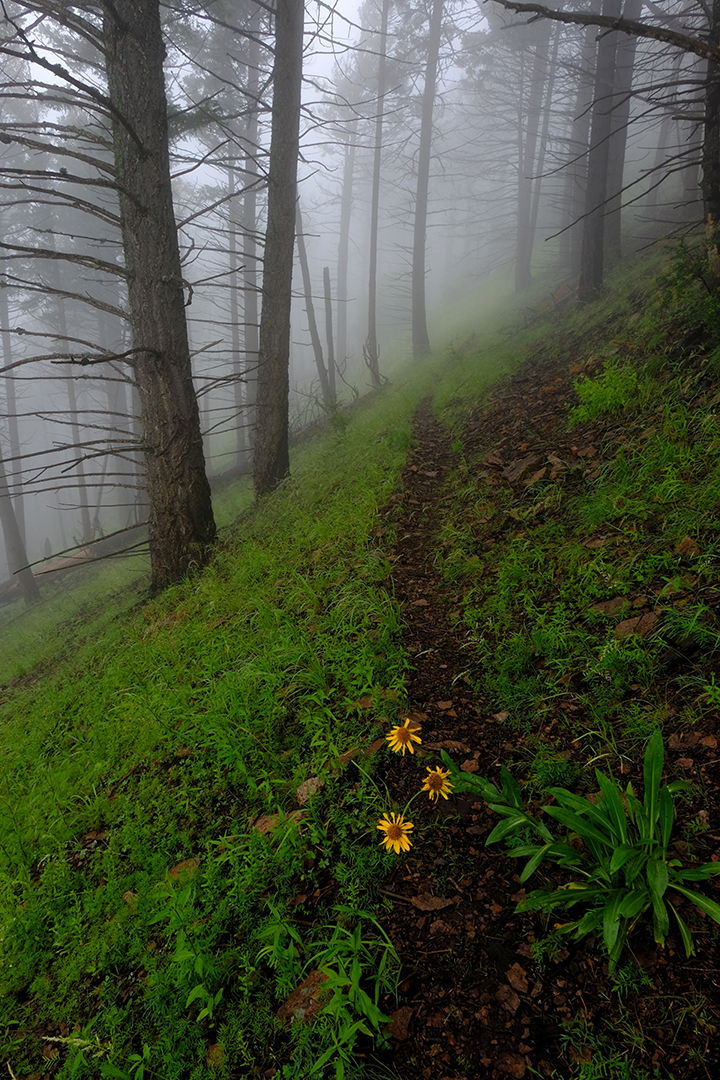 Photograph by Taite Stotts