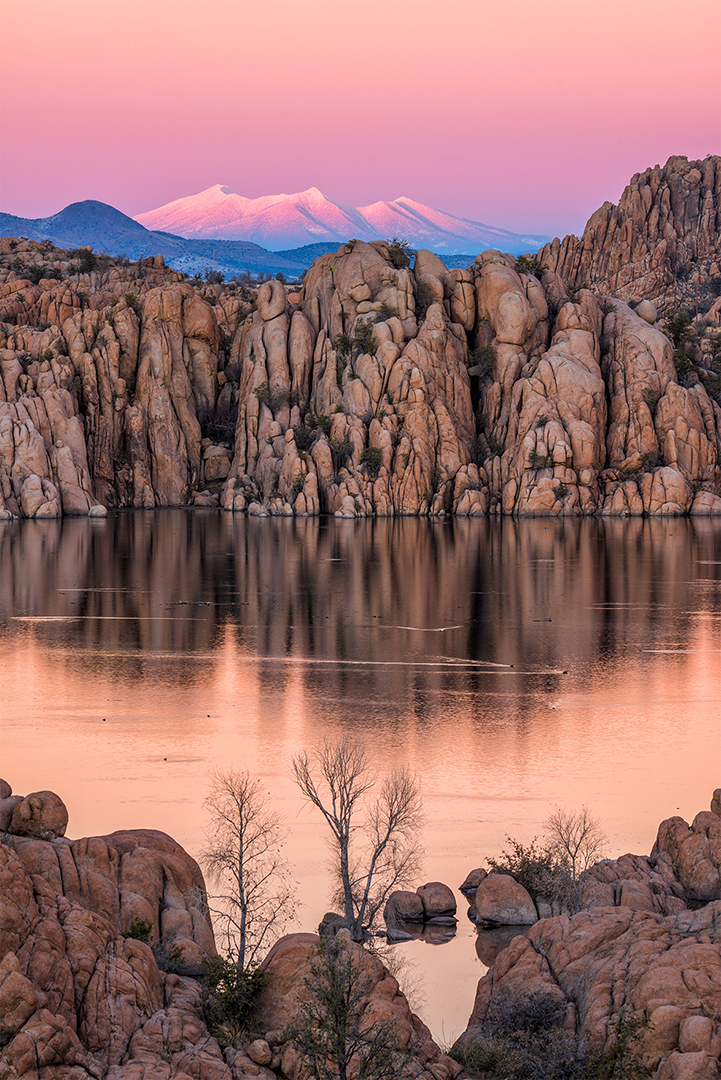 Photograph by Theresa Rose Ditson