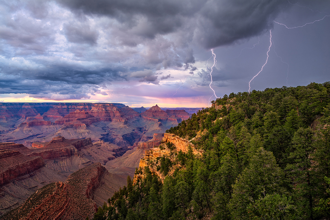 Photograph by Theresa Rose Ditson