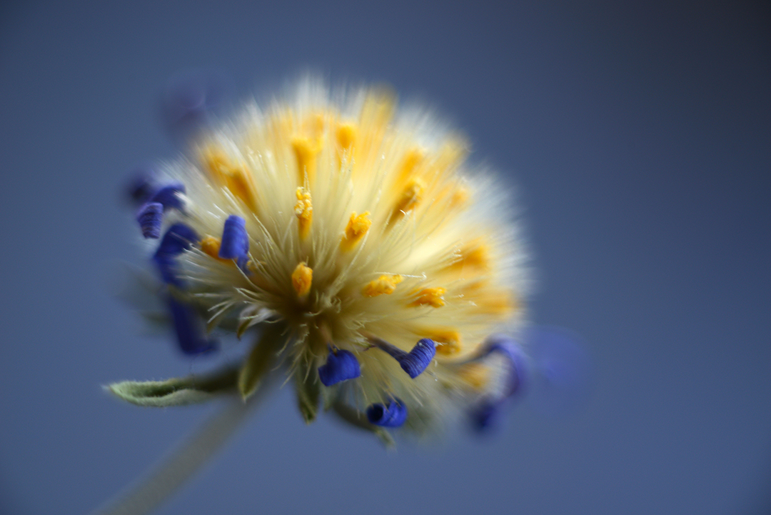 Photograph by Catherine Sienko