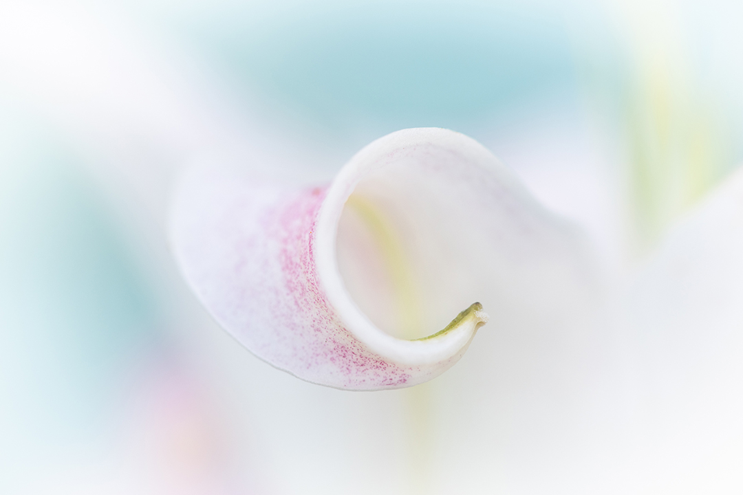 Photograph by J Fritz Rumpf