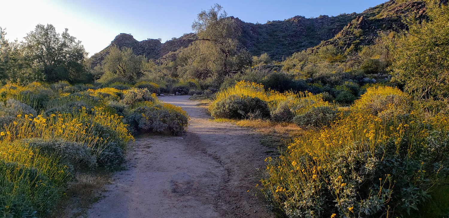 Photograph by Dave Kiesling