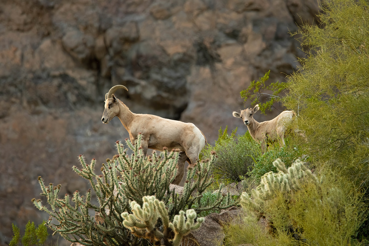 Photograph by Joshua Sellke