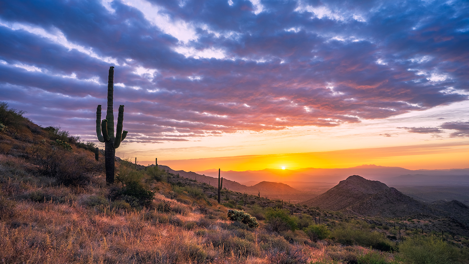 Photograph by Eric Mischke