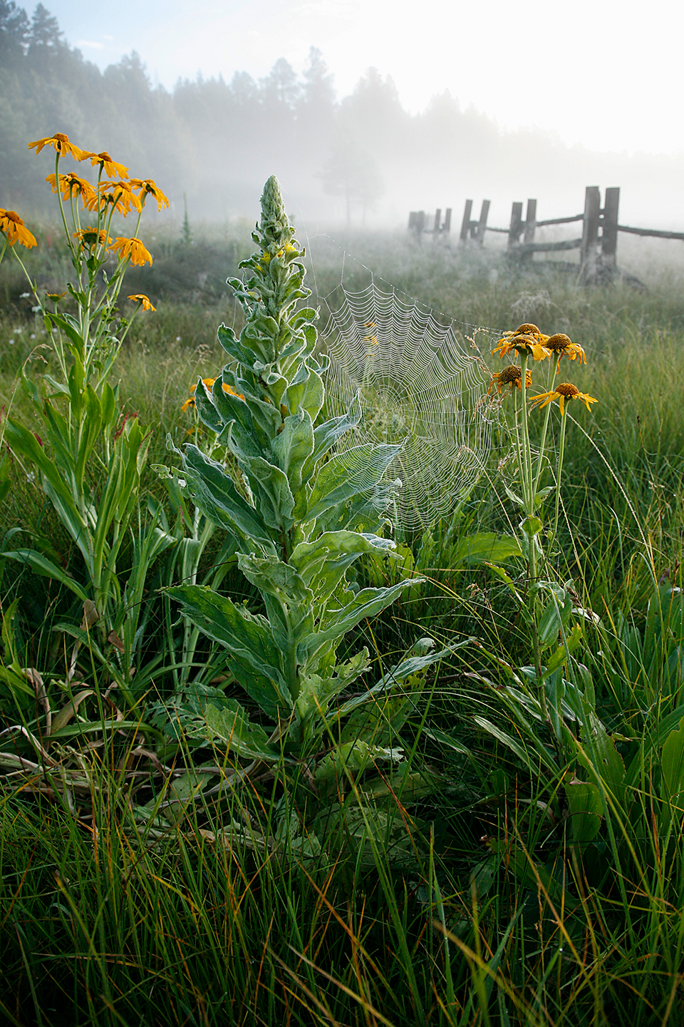 Photograph by Larry Lindahl