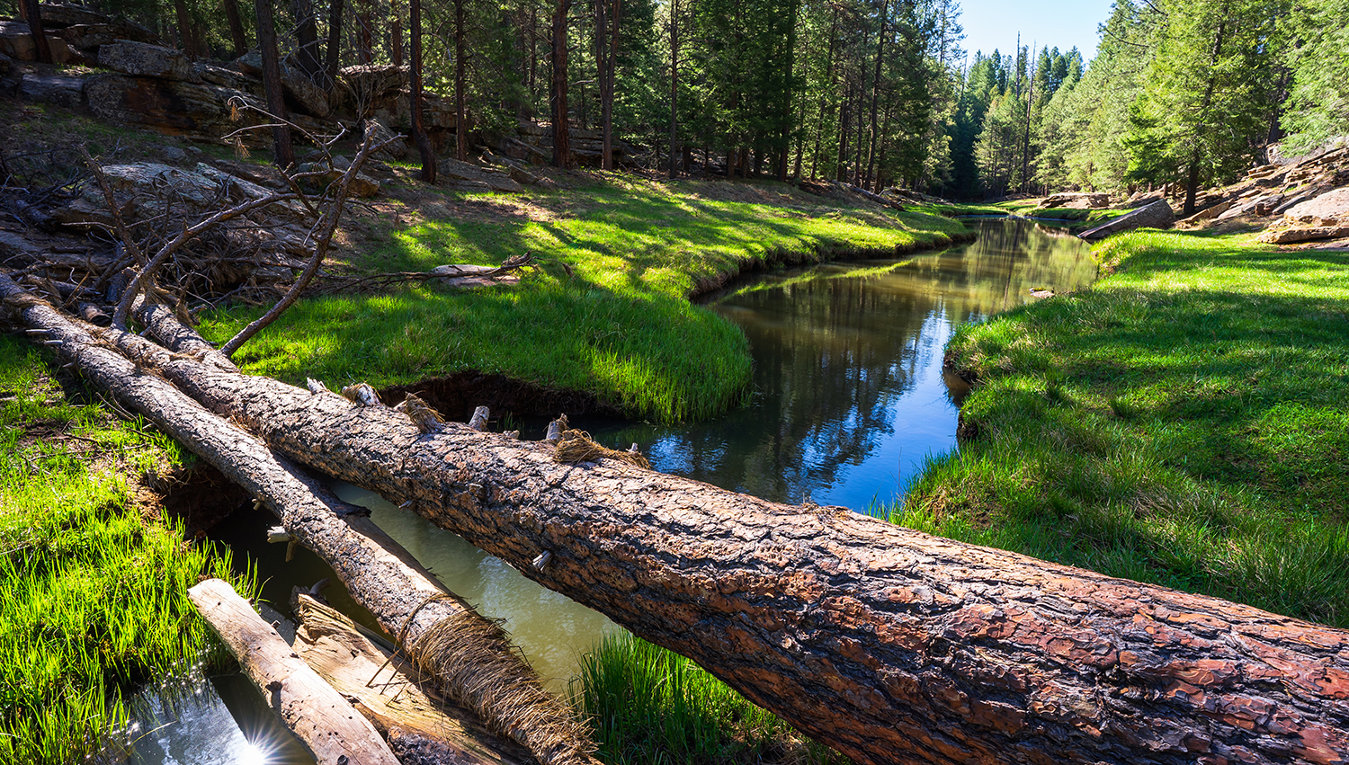 Photograph by Eric Mischke