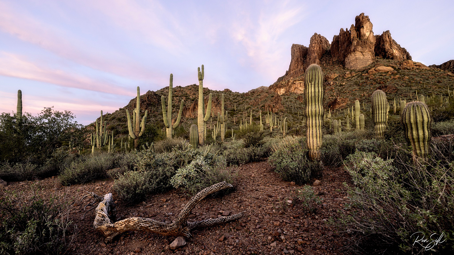 Photograph by Ronald Sill