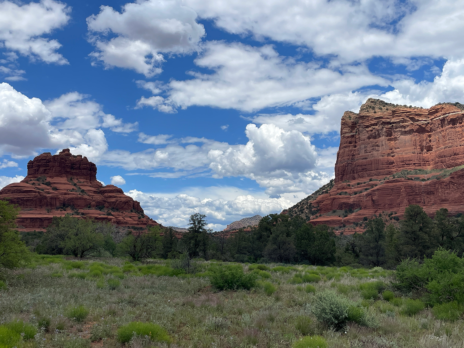 Photograph by Lisa Miller
