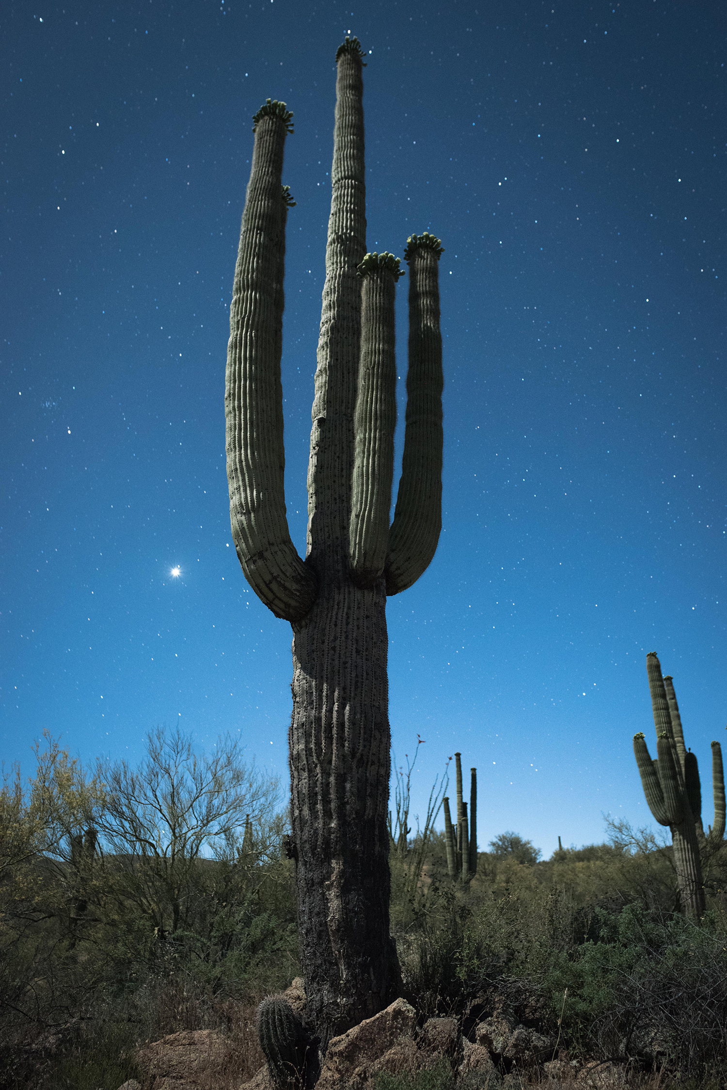 Photograph by John Fink
