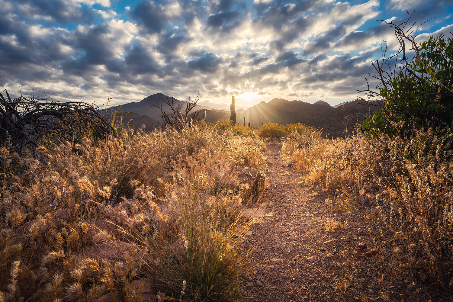 Photograph by Eric Mischke