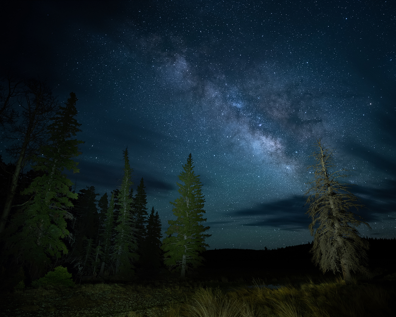 Photograph by Randy Wheelis