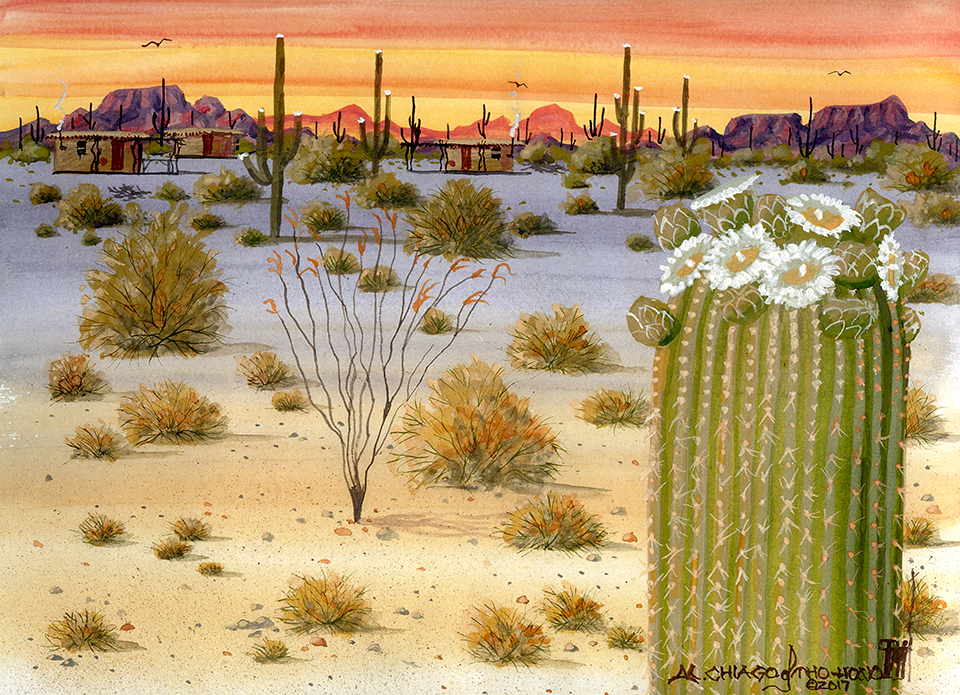 Courtesy UNIVERSITY OF ARIZONA PRESS