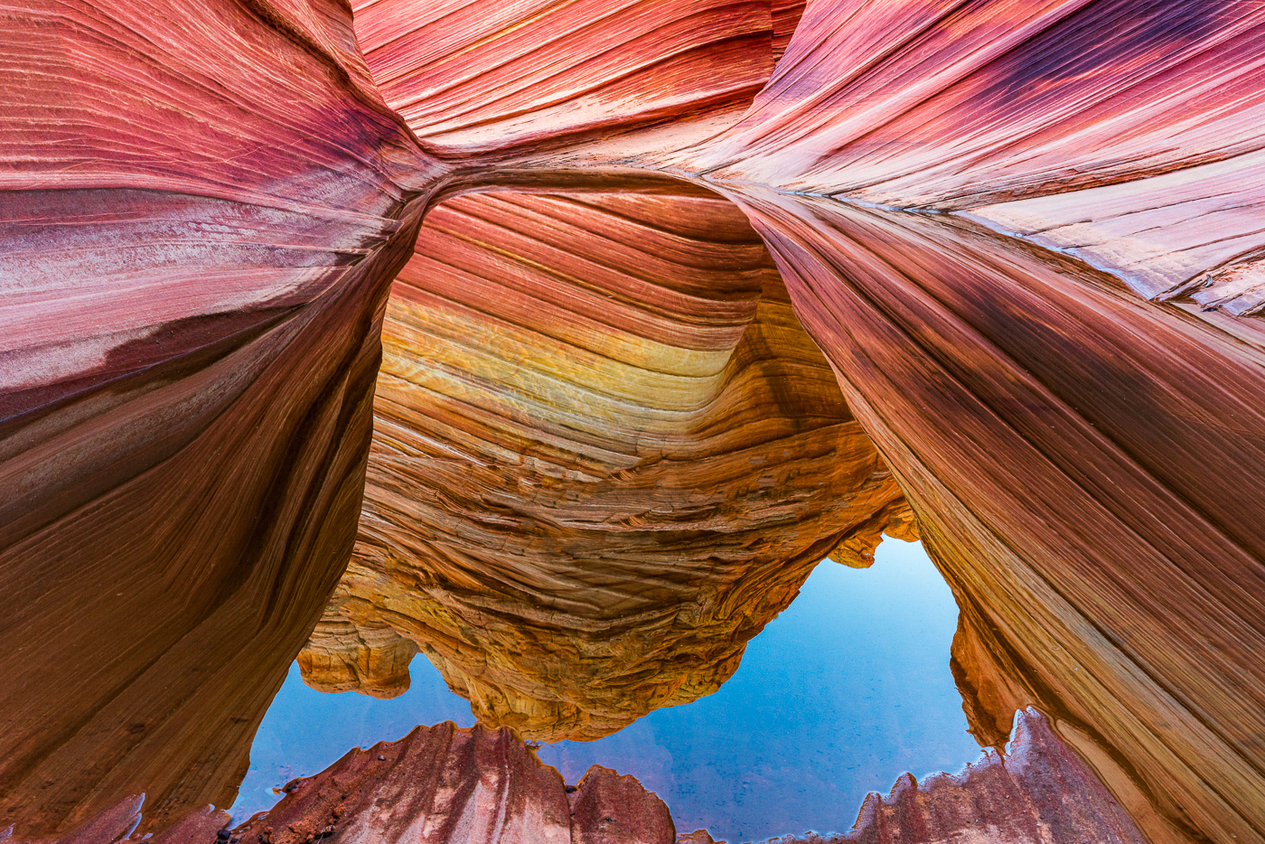 Photograph by Debra Mastronardi