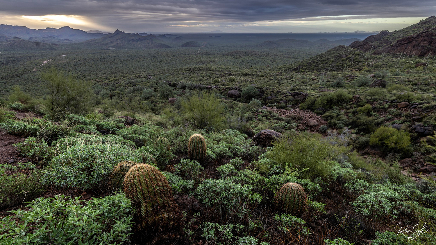 Photograph by Ronald Sill
