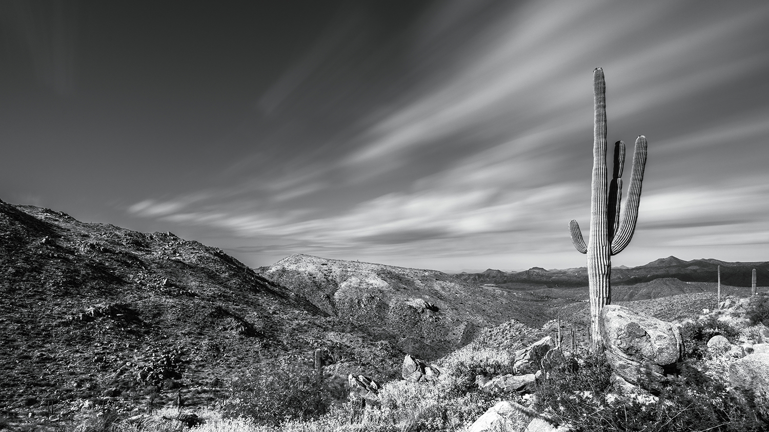 Photograph by Eric Mischke
