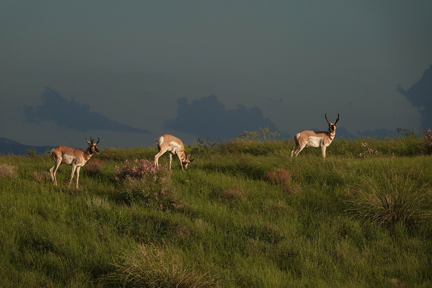 Photograph by Keith Wiggers