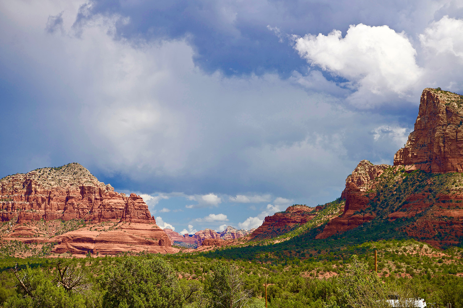 Photograph by Mark Koster