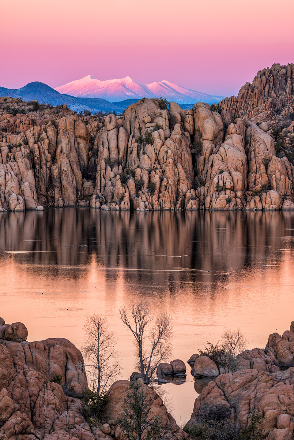 Photograph by Theresa Rose Ditson