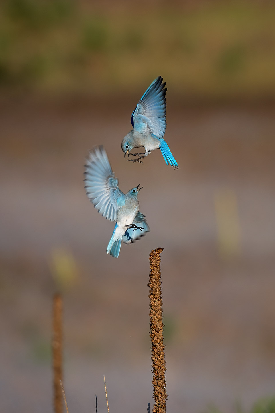 Photograph by Anne James