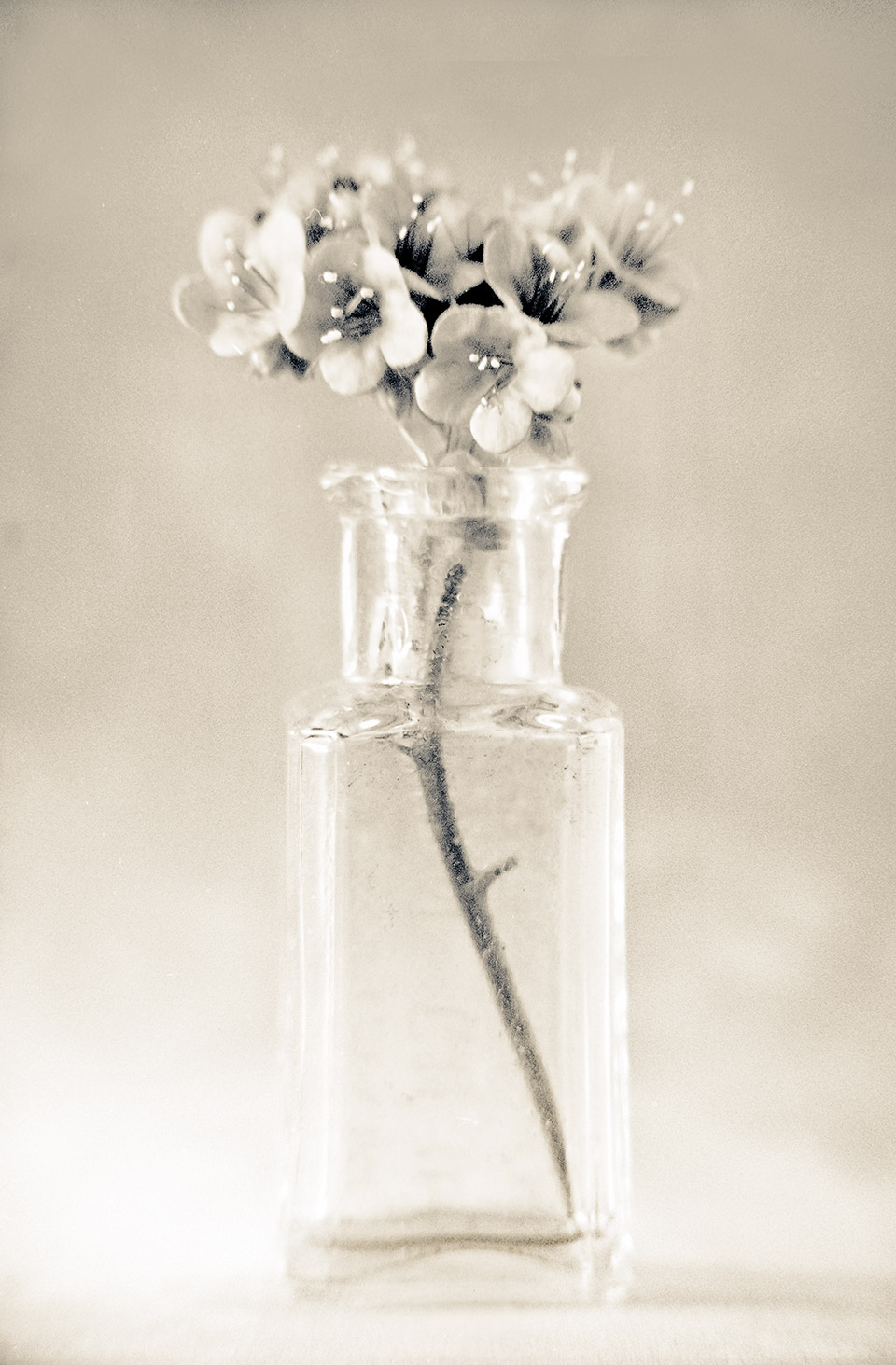 Photograph by Richard Maack