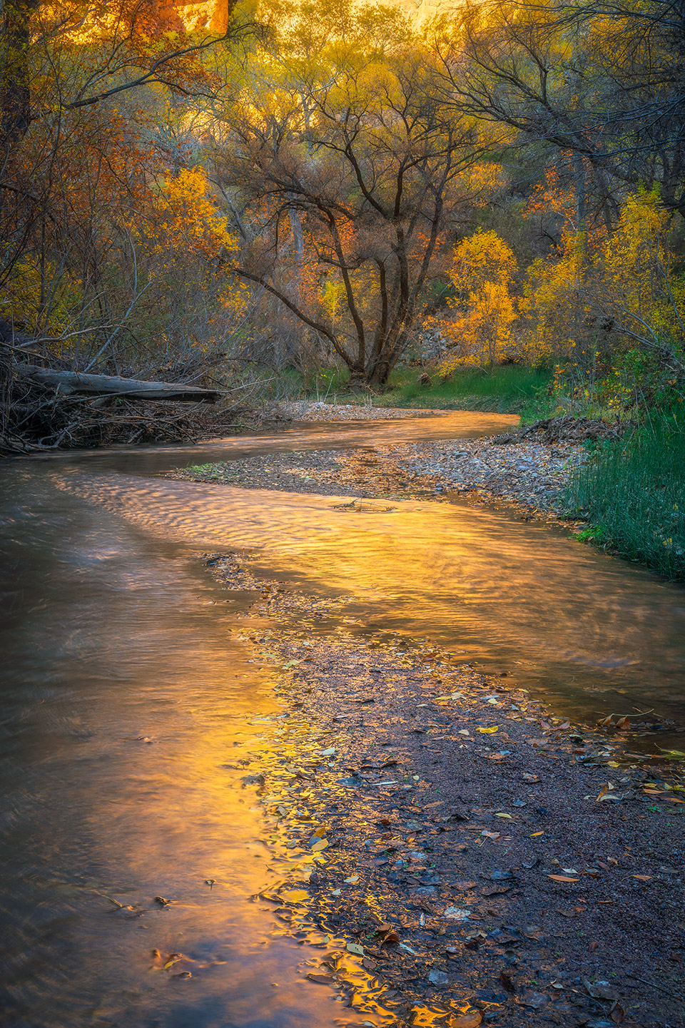 Photograph by Peter Coskun