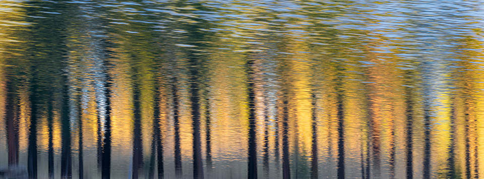 Photograph by Rusty Childress