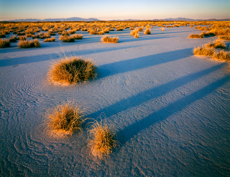Photograph by Jack Dykinga