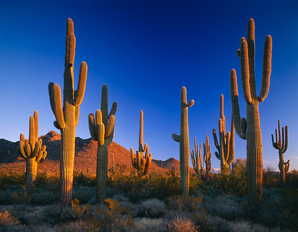 The Ultimate Arizona Road Trip | Arizona Highways The Ultimate Arizona Road Trip | Arizona Highways