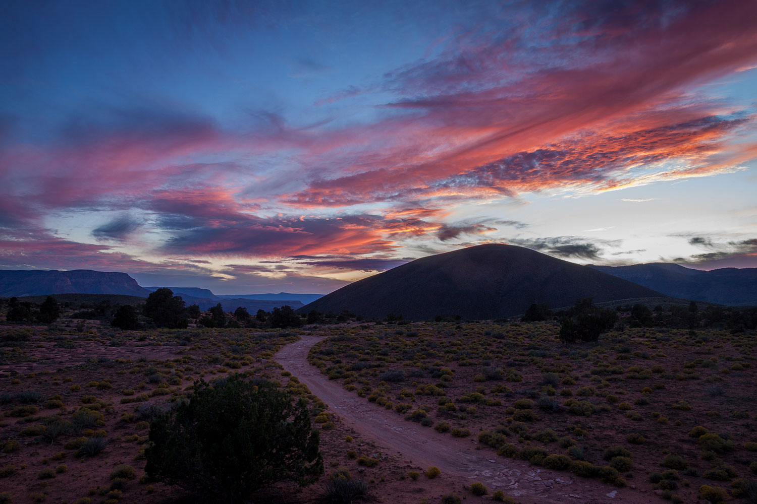 Photograph by Arlene Waller