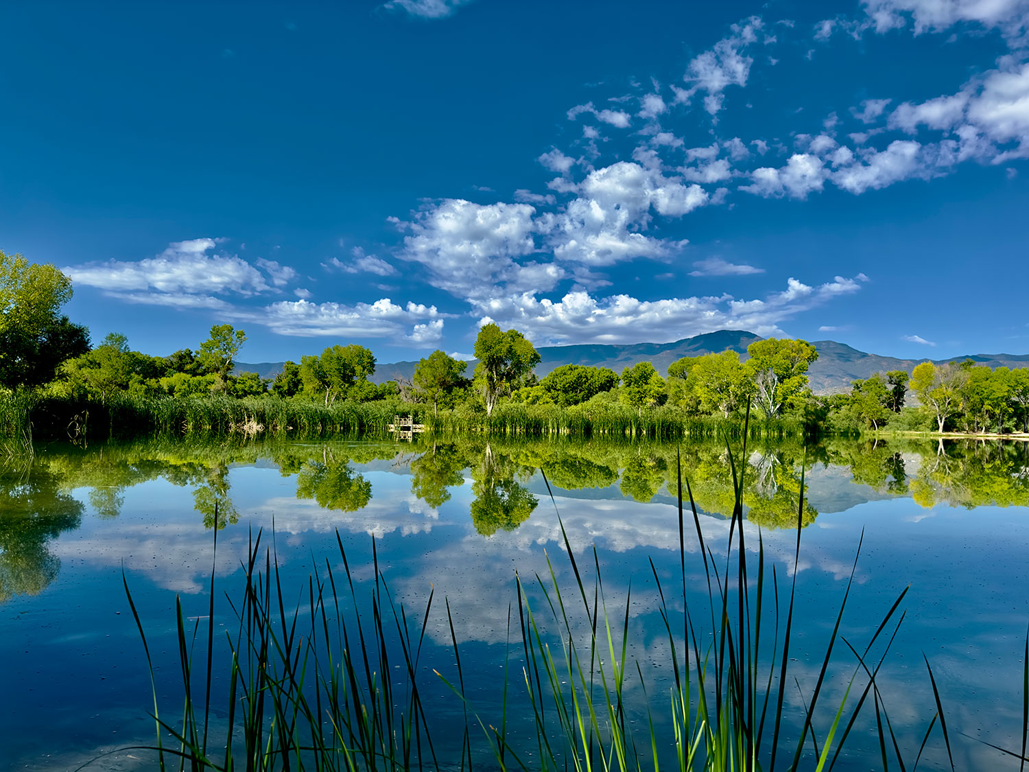 Photograph by Karen Shaw