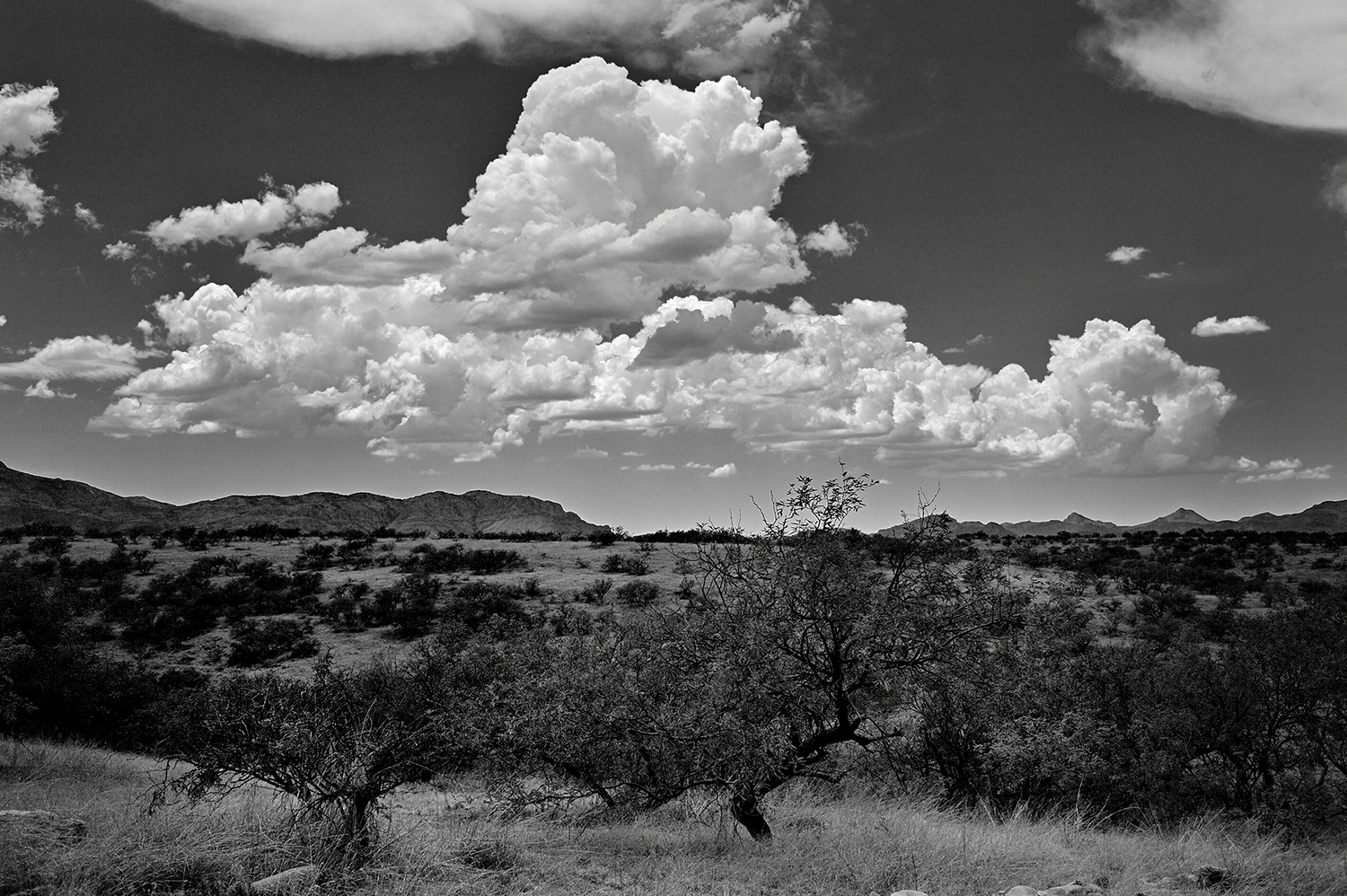 Photograph by Jim Dell