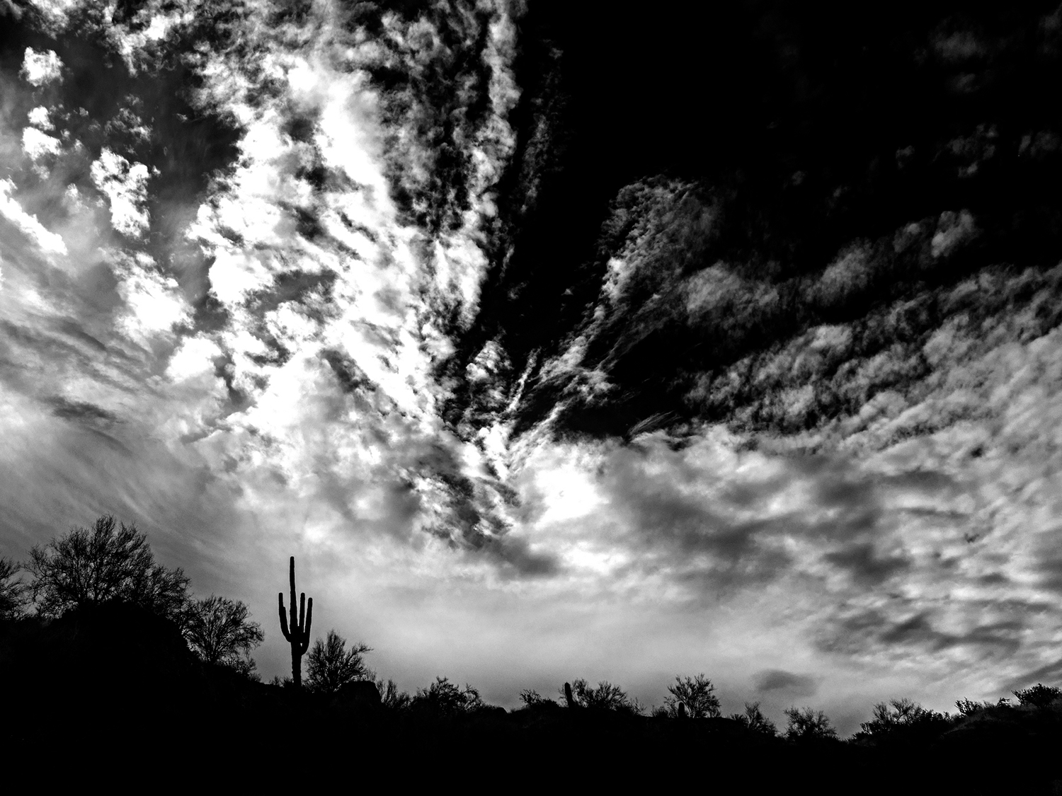 Photograph by Sue Cullumber