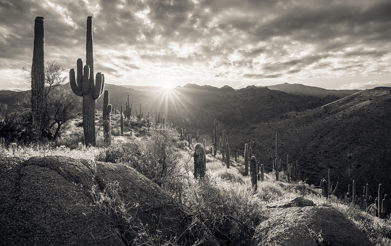 Photograph by Eric Mischke