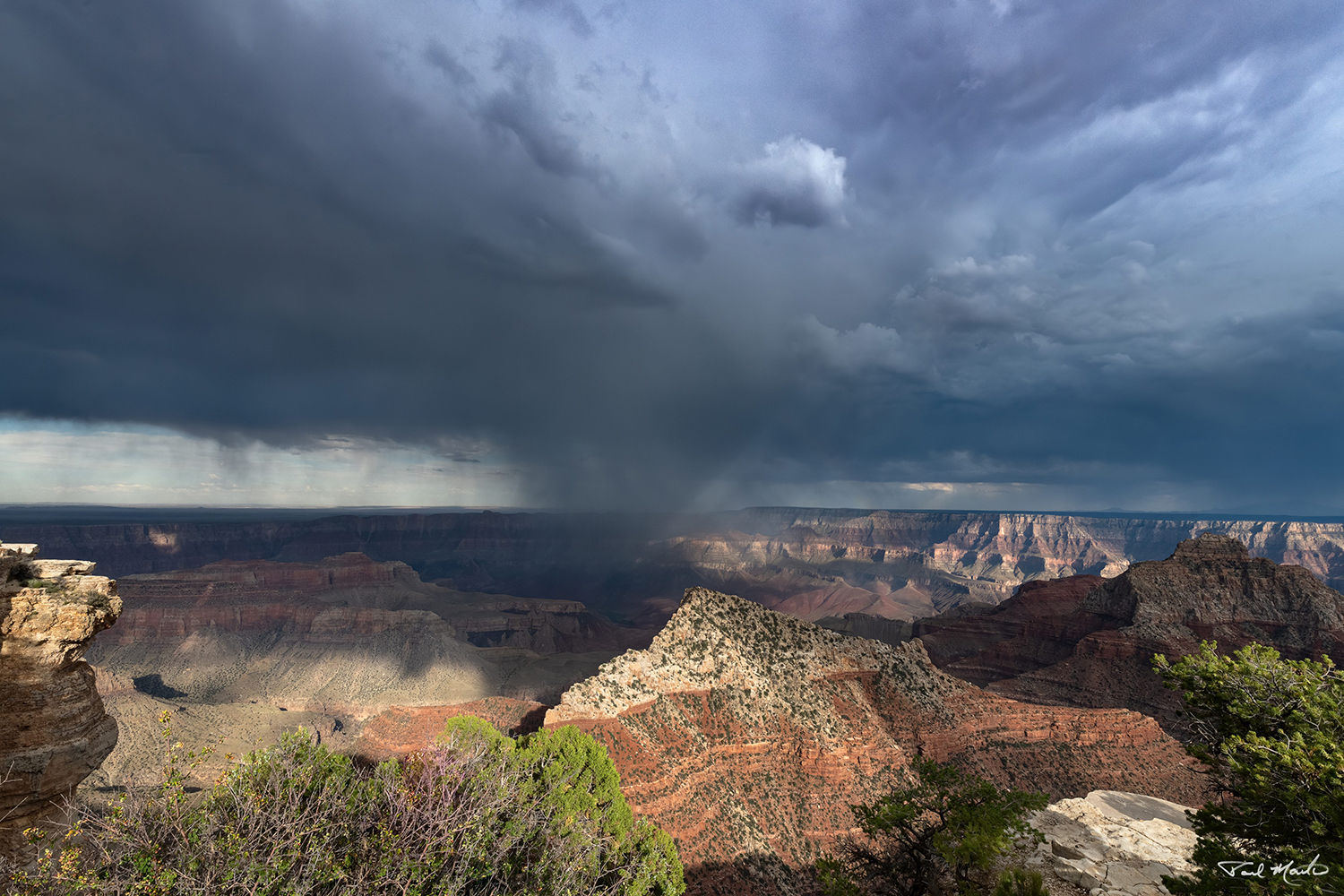 Photograph by Paul Martin