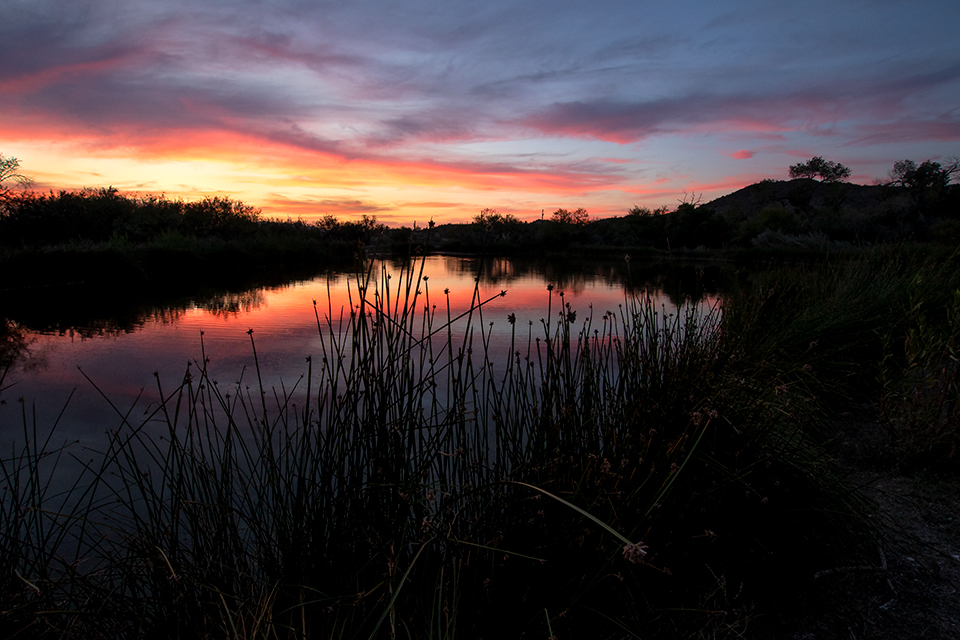 Photograph by Bruce D. Taubert
