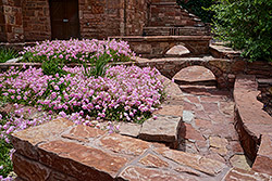 Photograph: LINDA HARMS/ALAMY STOCK PHOTO