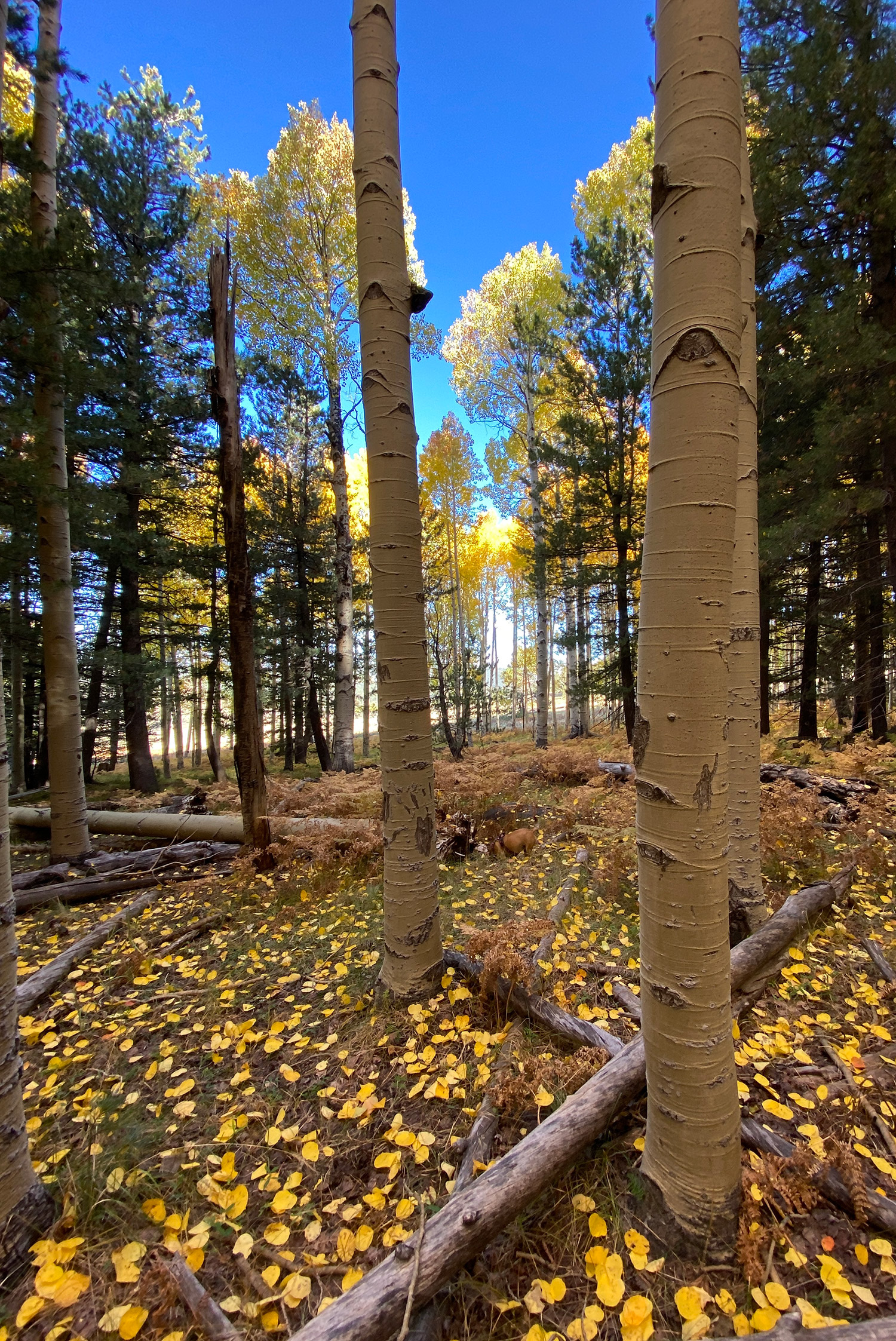 Photograph by Jillian Worssam