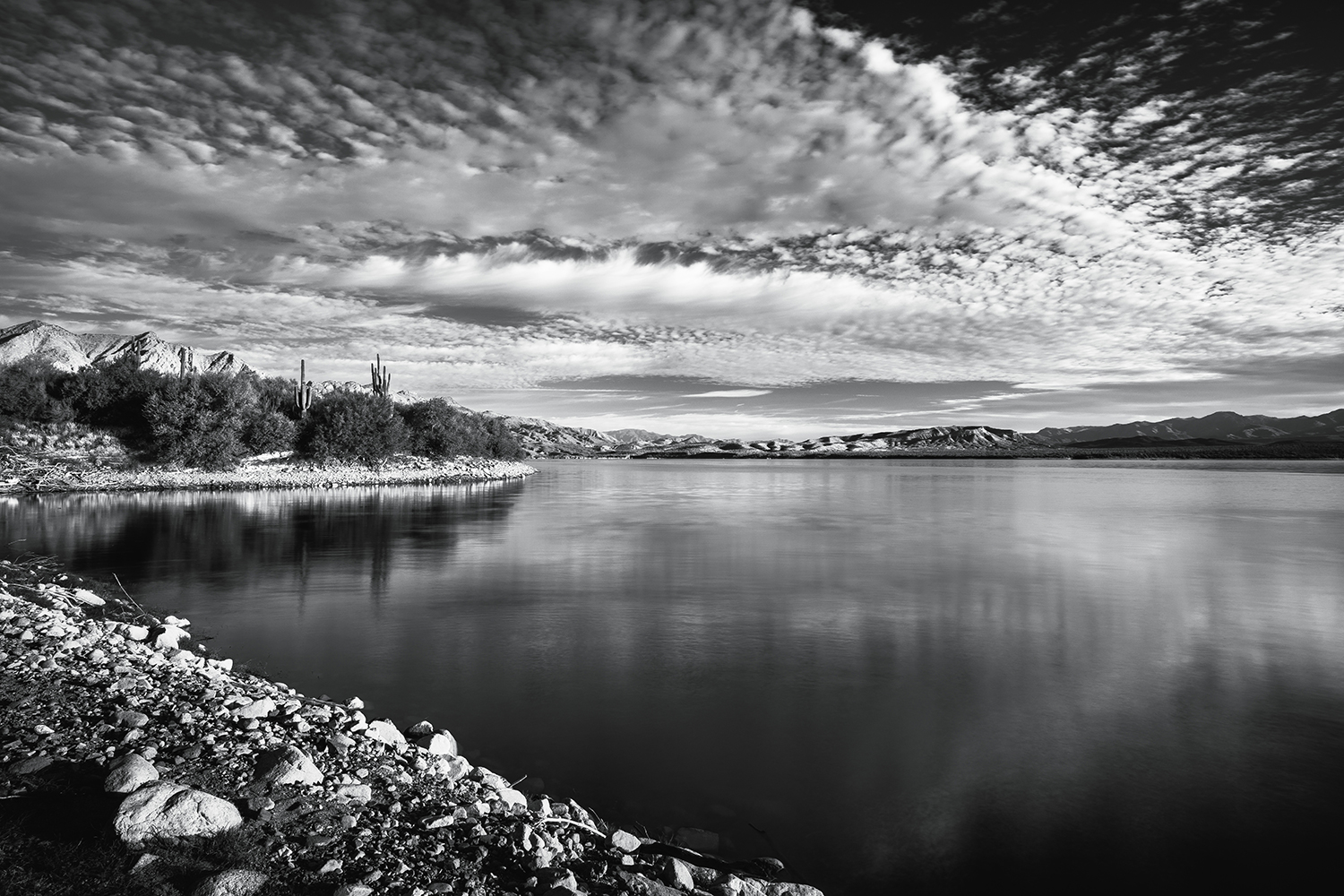 Photograph by Eric Mischke