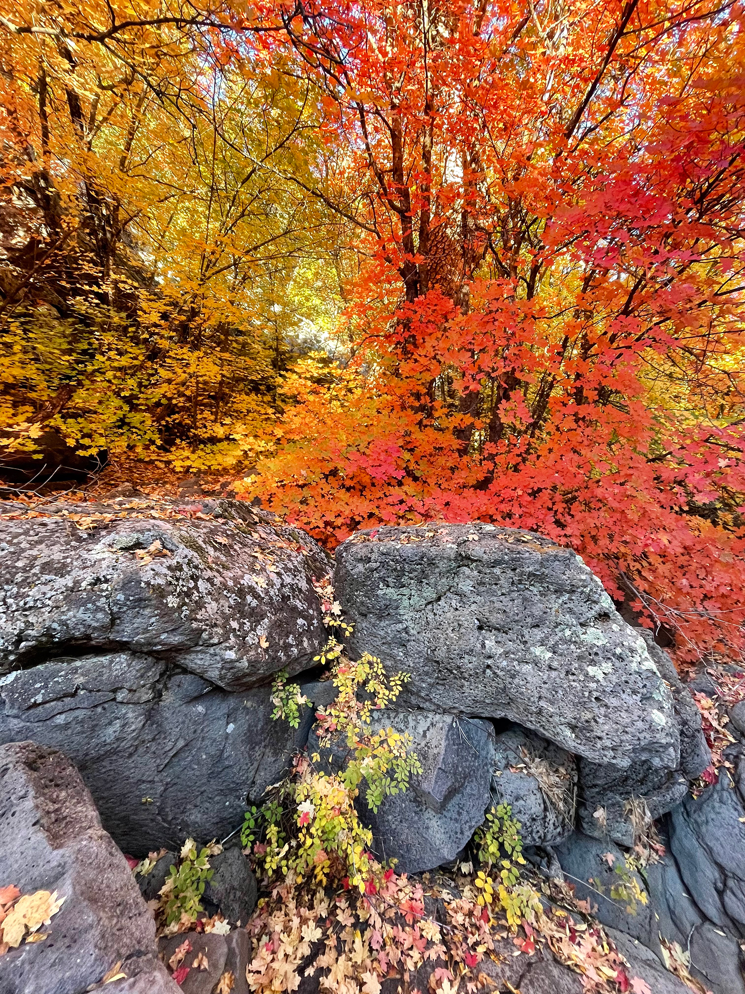 Photograph by Jack O’Leile