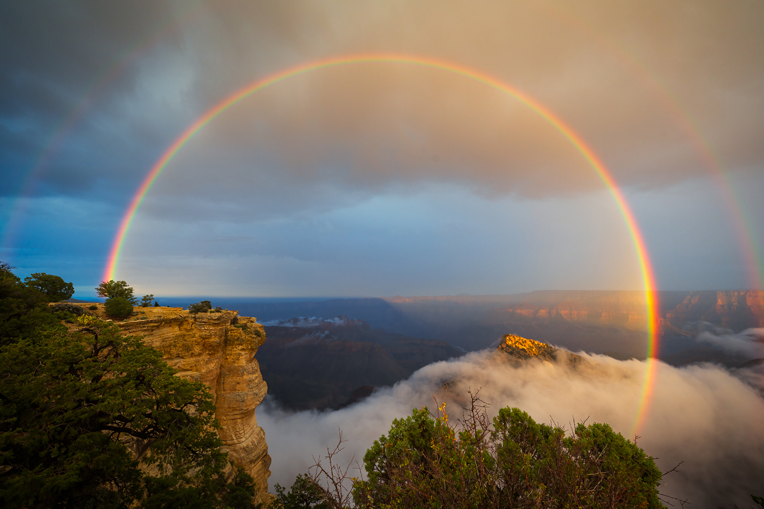 Photograph by Mark Henn