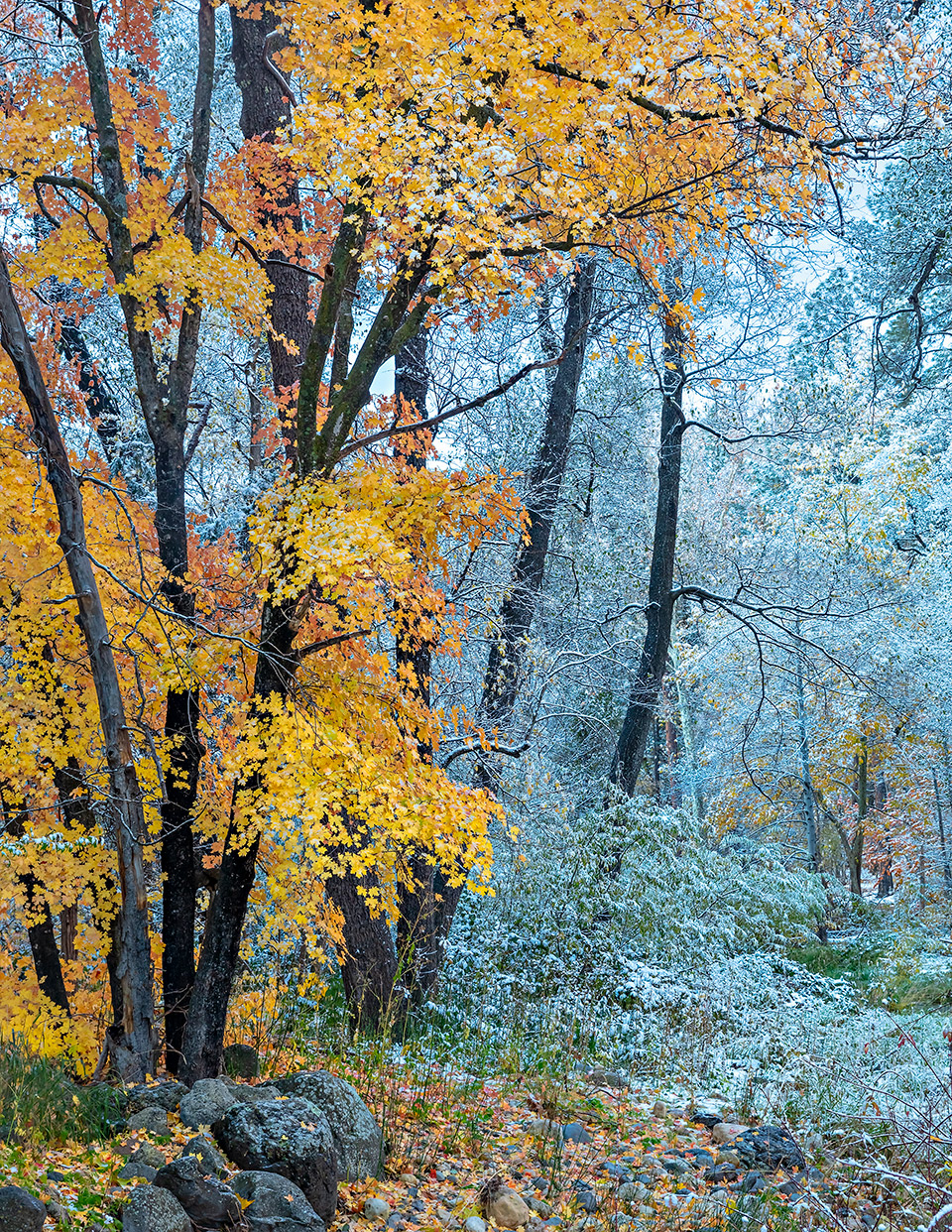 Photograph by Derek von Briesen
