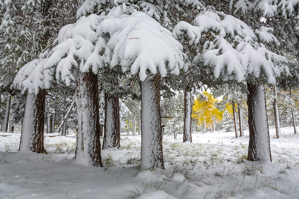 Photograph by Paul Gill