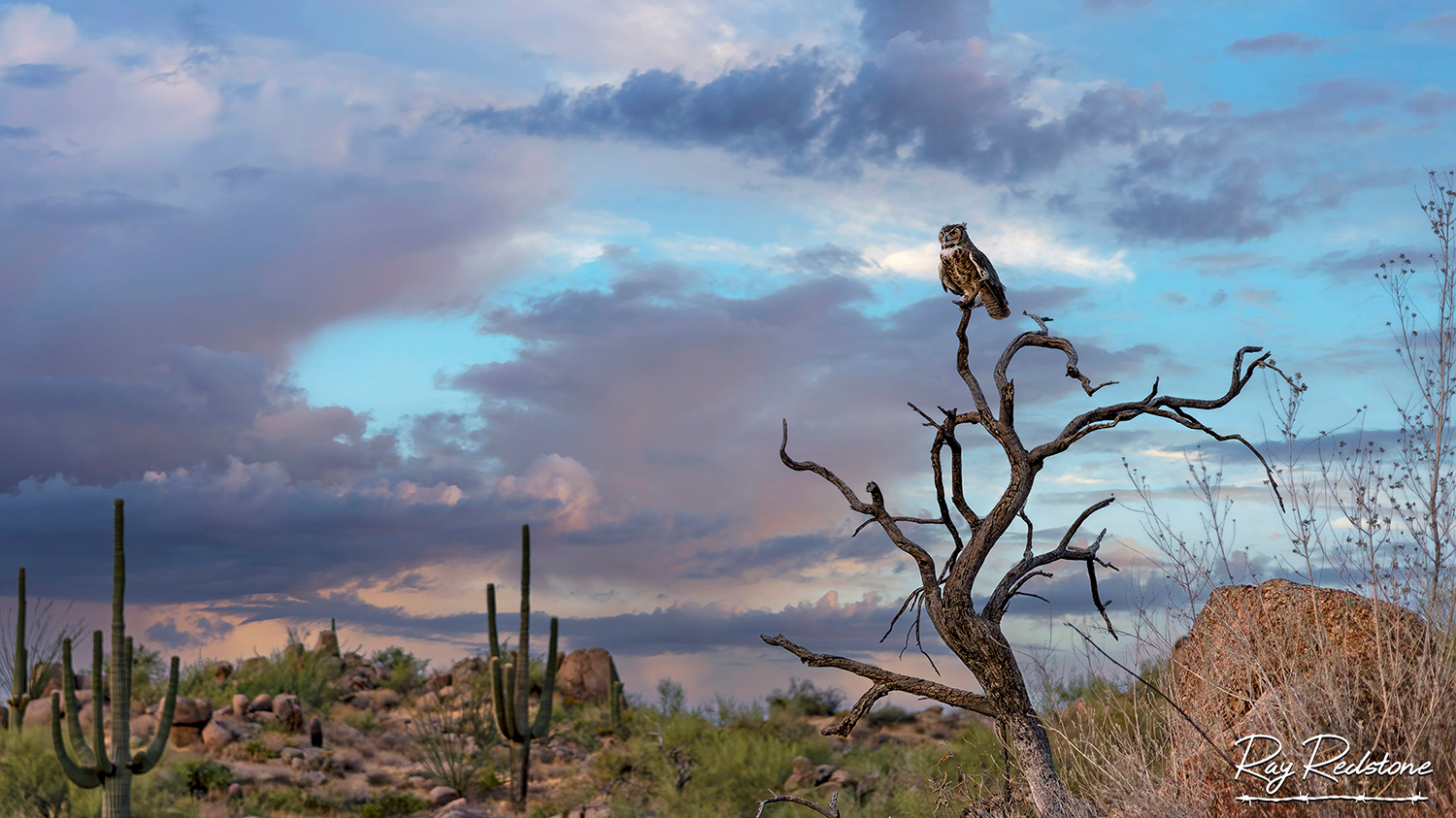 Photograph by Ray Redstone