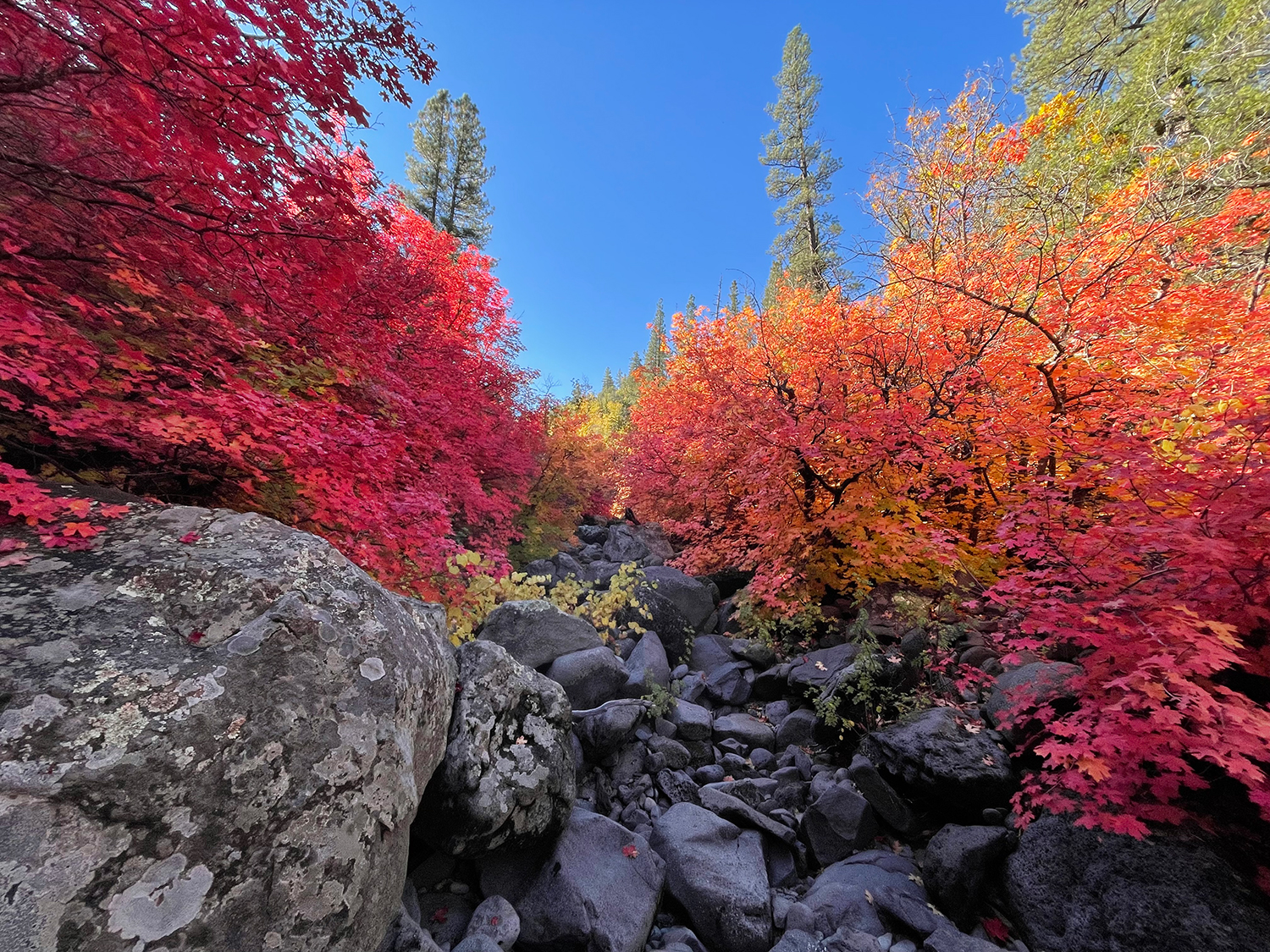 Photograph by Jack O’Leile